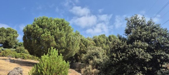 894m² Land in Torrelodones, Spain No. 168573 24