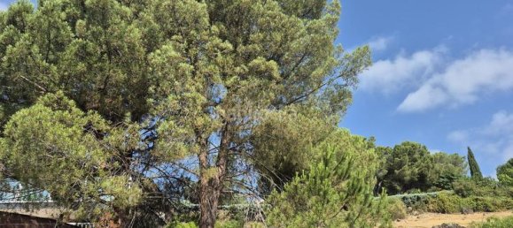 894m² Land in Torrelodones, Spain No. 168573 10