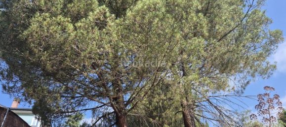 894m² Land in Torrelodones, Spain No. 168573 18