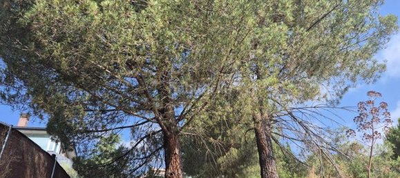 894m² Land in Torrelodones, Spain No. 168573 19