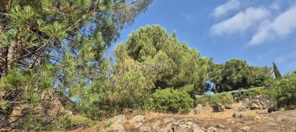 894m² Land in Torrelodones, Spain No. 168573 13