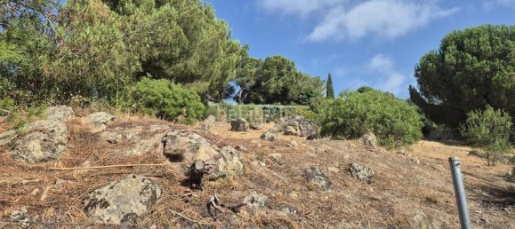 894m² Land in Torrelodones, Spain No. 168573 15