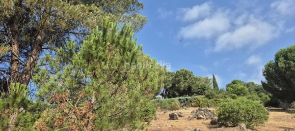 894m² Land in Torrelodones, Spain No. 168573 22