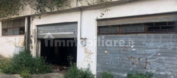 1 room Warehouse in Cisterna di Latina, Italy No. 336601 2