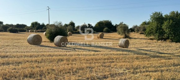 Земельный участок 340м² в Рагуза, Италия № 259616 5