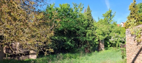 Дом с 8 комнатами в Мансфельд-Зюдгарц, Германия № 358547 6