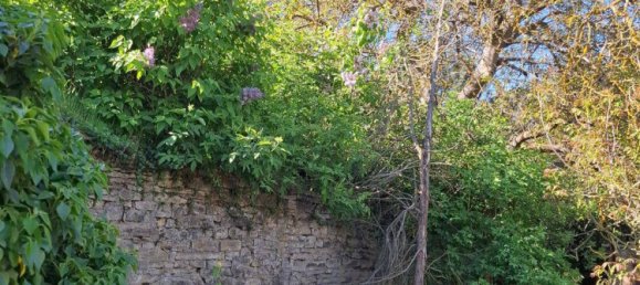 Дом с 8 комнатами в Мансфельд-Зюдгарц, Германия № 358547 7