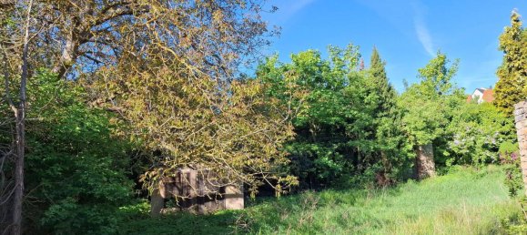 Дом с 8 комнатами в Мансфельд-Зюдгарц, Германия № 358547 8