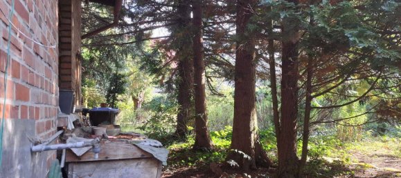 Дом с 8 комнатами в Мансфельд-Зюдгарц, Германия № 358547 27