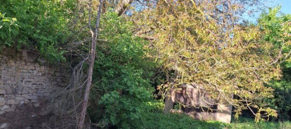 Дом с 8 комнатами в Мансфельд-Зюдгарц, Германия № 358547 5