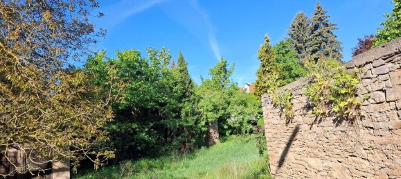 Дом с 8 комнатами в Мансфельд-Зюдгарц, Германия № 358547 9