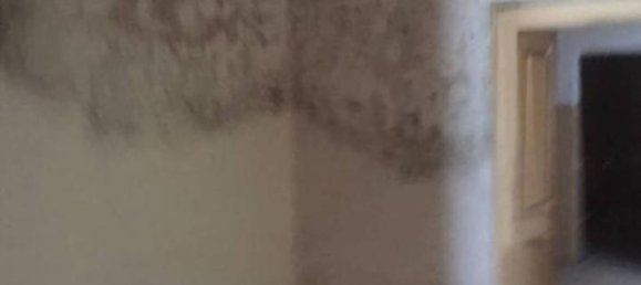 5غرفة فيلا في Galatone, Italy رقم 148399 40