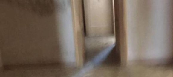 5غرفة فيلا في Galatone, Italy رقم 148399 44