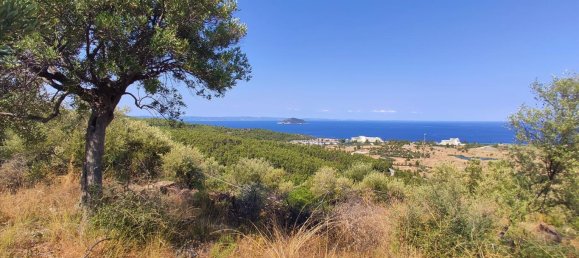 Отель, гостиница 4188м² в Халкидики, Греция № 4126 6