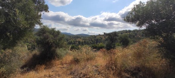 Отель, гостиница 4188м² в Халкидики, Греция № 4126 7