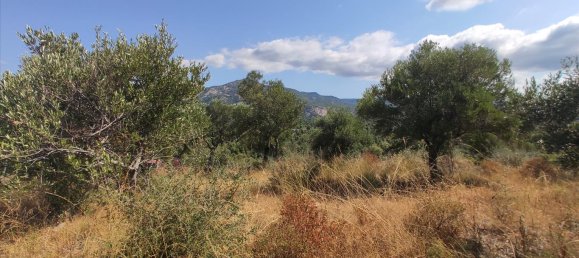 Отель, гостиница 4188м² в Халкидики, Греция № 4126 4