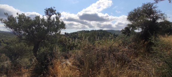 Отель, гостиница 4188м² в Халкидики, Греция № 4126 8