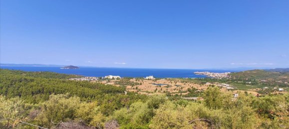 Отель, гостиница 4188м² в Халкидики, Греция № 4126 2