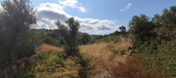 Отель, гостиница 4188м² в Халкидики, Греция № 4126 10