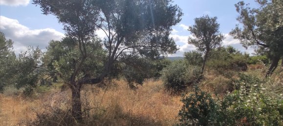 Отель, гостиница 4188м² в Халкидики, Греция № 4126 5