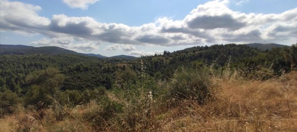 Отель, гостиница 4188м² в Халкидики, Греция № 4126 9