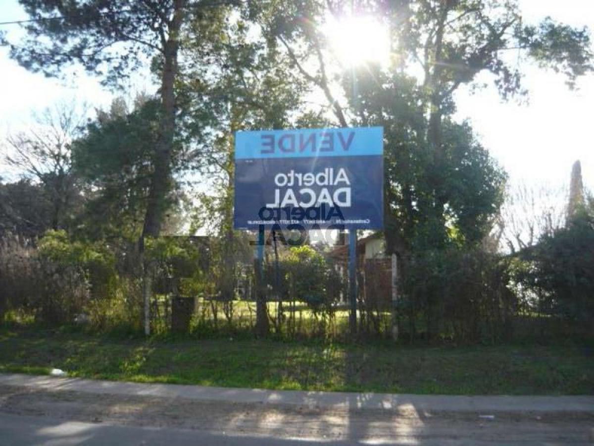  Land in Campo Creado, Argentina No. 31851