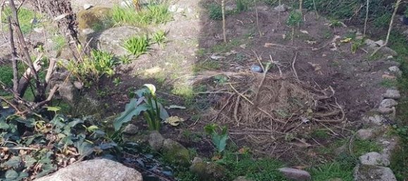 Дом с 2 спальнями в Линдозу, Португалия № 19721 13