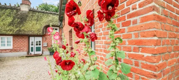 5 Schlafzimmer Haus in Schleswig-Holstein, Germany, Nr. 88382 7