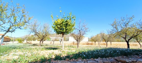 3 bedrooms Townhouse in Alicante, Spain No. 93280 3