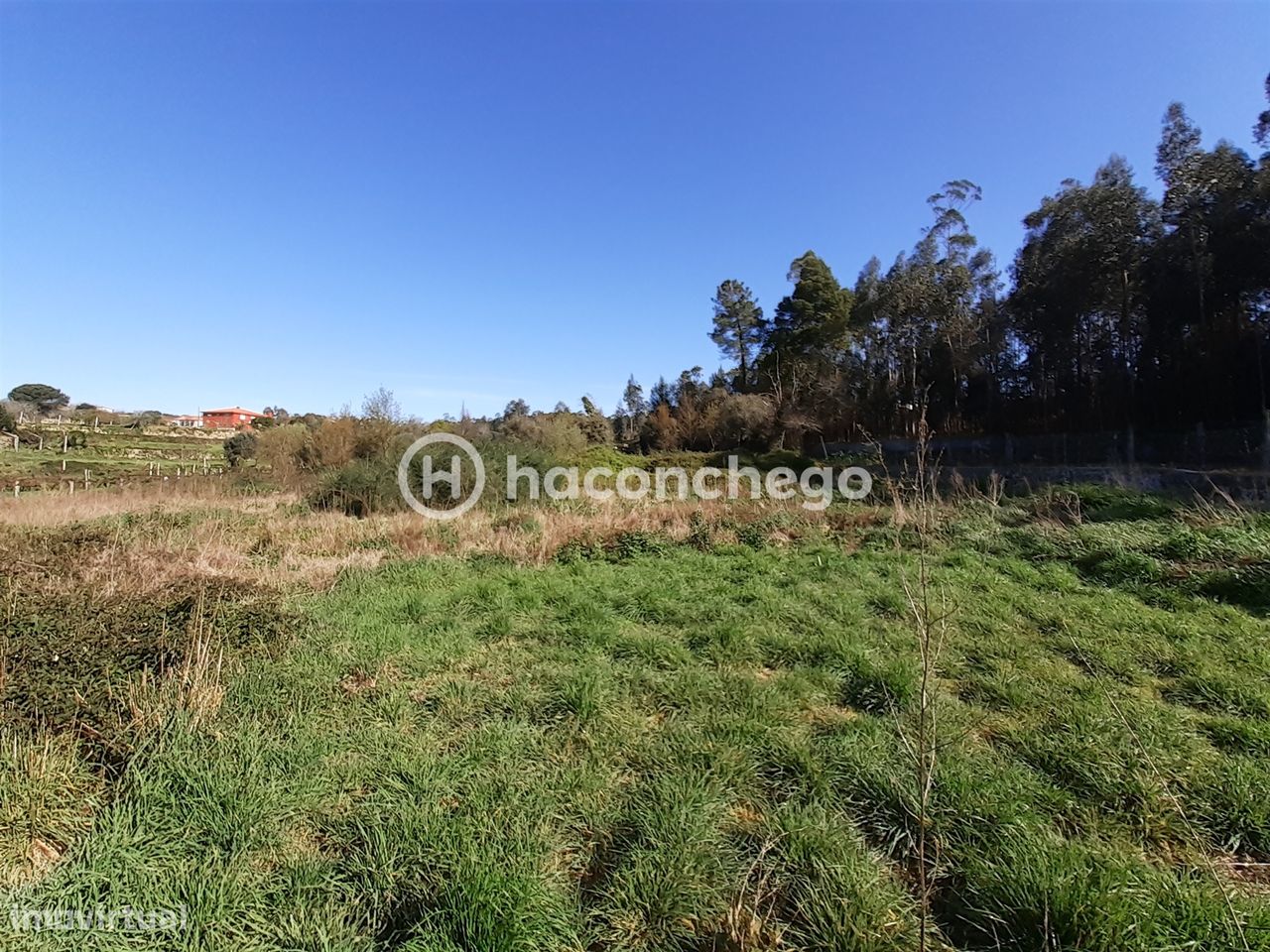 5250m² Land in Barcelos, Portugal No. 29173