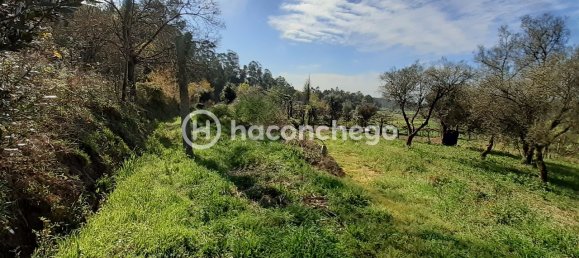 5250m² Land in Barcelos, Portugal No. 29173 8