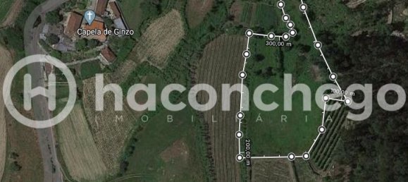 5250m² Land in Barcelos, Portugal No. 29173 10
