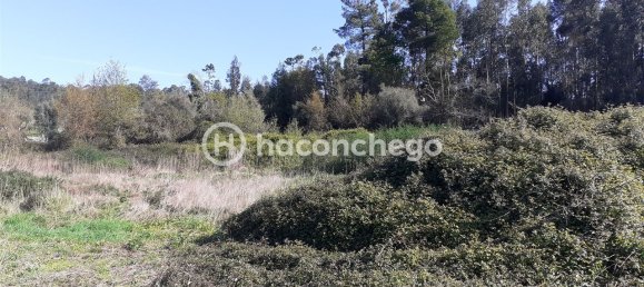 5250m² Land in Barcelos, Portugal No. 29173 2