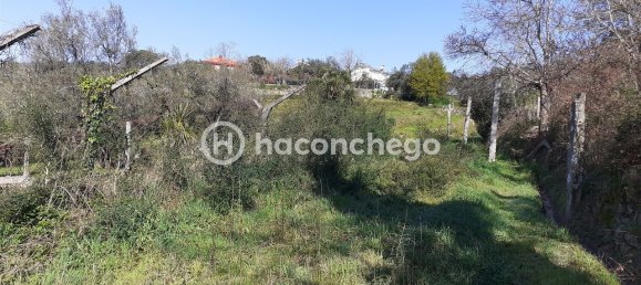 5250m² Land in Barcelos, Portugal No. 29173 5