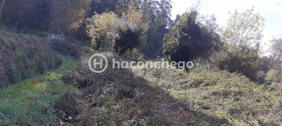 5250m² Land in Barcelos, Portugal No. 29173 4