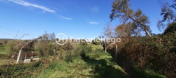 5250m² Land in Barcelos, Portugal No. 29173 6