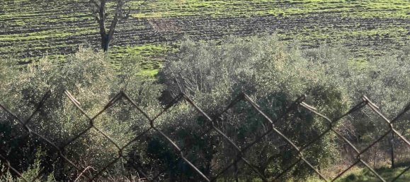 2 bedrooms House in Assisi, Italy No. 325624 3