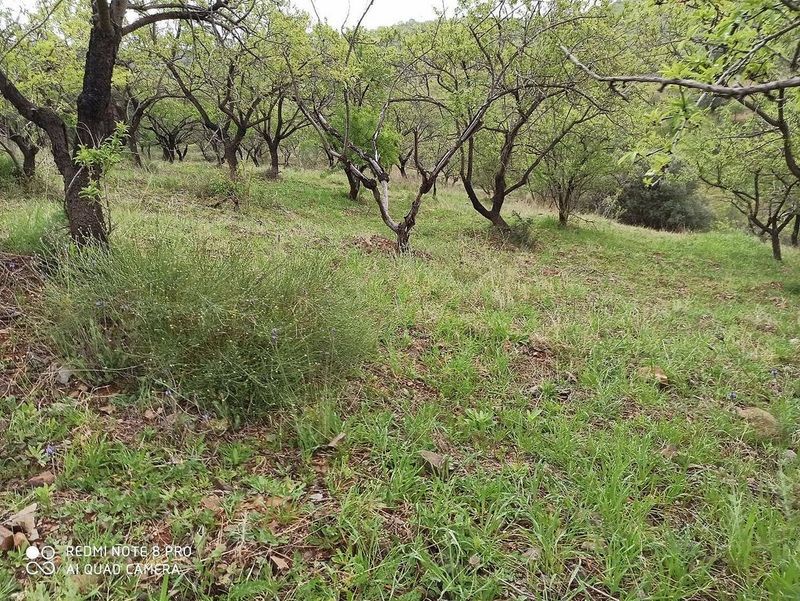 60000m² Land in Malaga, Spain No. 228432