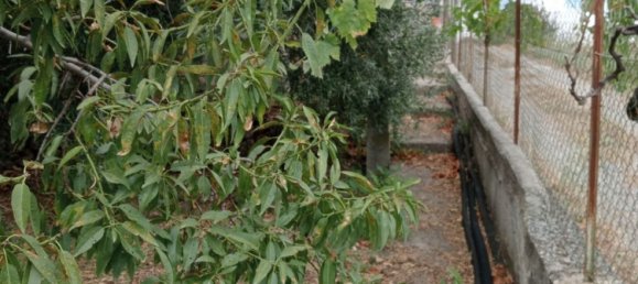 5غرفة شقة في Monreale, Italy رقم 256099 22