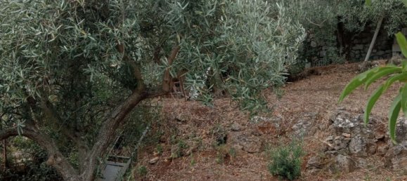 5غرفة شقة في Monreale, Italy رقم 256099 20