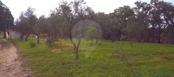 2 bedrooms House in Chamusca, Portugal No. 164800 10