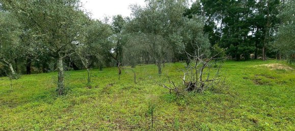 2 bedrooms House in Chamusca, Portugal No. 164800 14