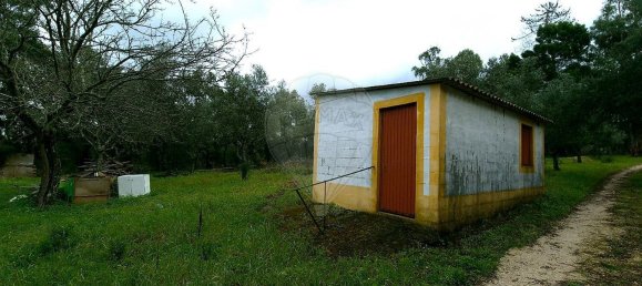 2 bedrooms House in Chamusca, Portugal No. 164800 5