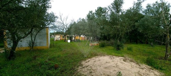 2 bedrooms House in Chamusca, Portugal No. 164800 6