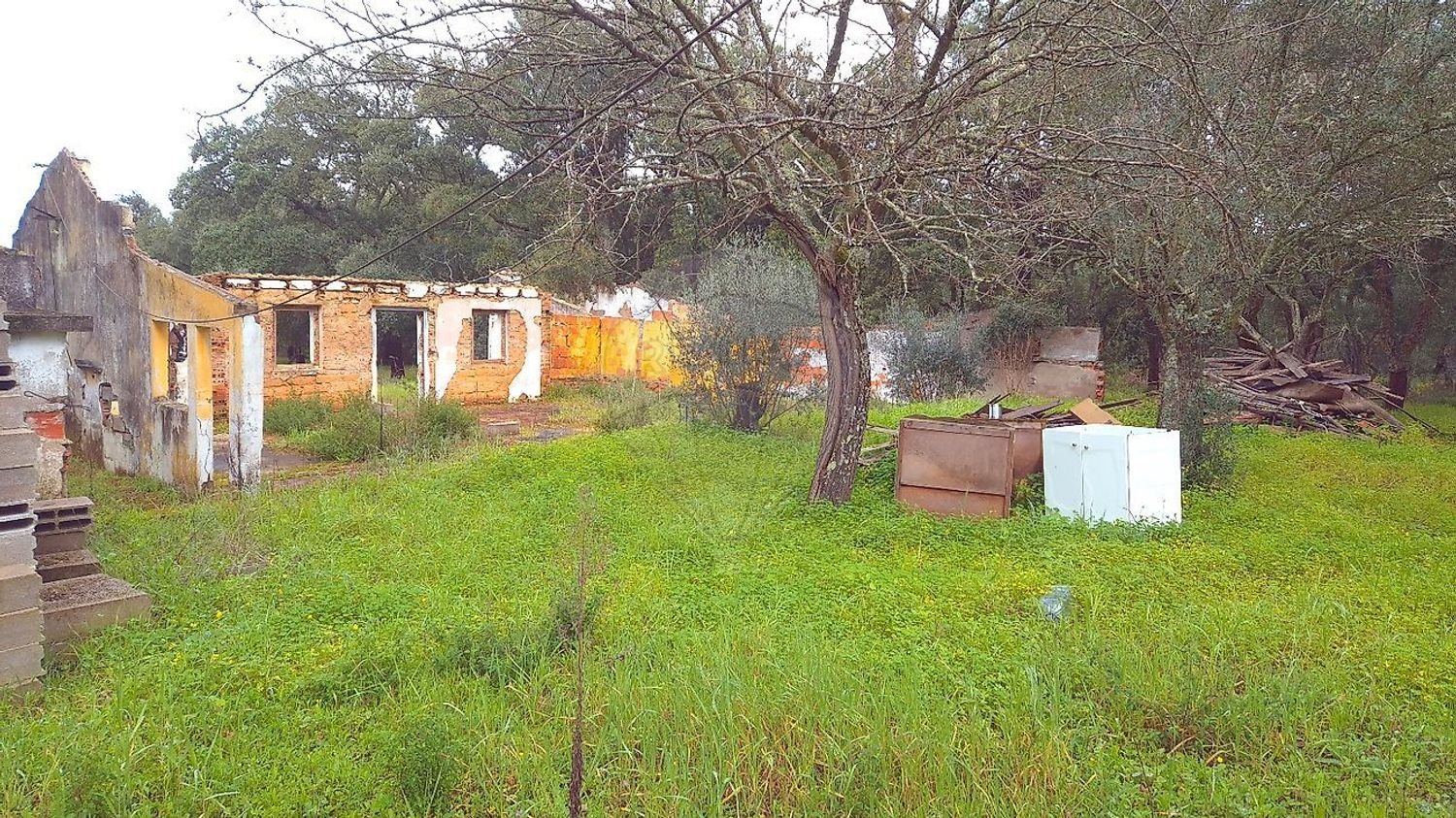 2 bedrooms House in Chamusca, Portugal No. 164800