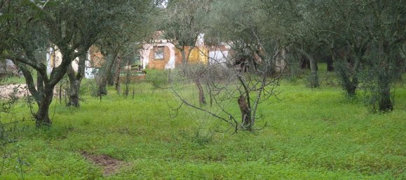 2 bedrooms House in Chamusca, Portugal No. 164800 13