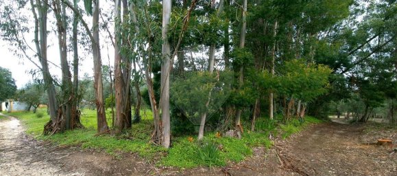 2 bedrooms House in Chamusca, Portugal No. 164800 9