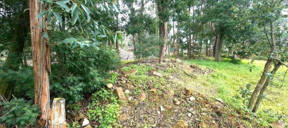 2 bedrooms House in Chamusca, Portugal No. 164800 8