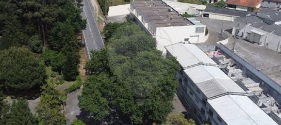 370m² Building in Moreira de Conegos, Portugal No. 190075 20