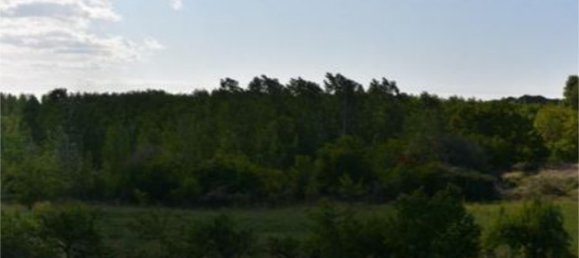  عقار تجاري في Leon, Spain 773متر مربع رقم 163032 10